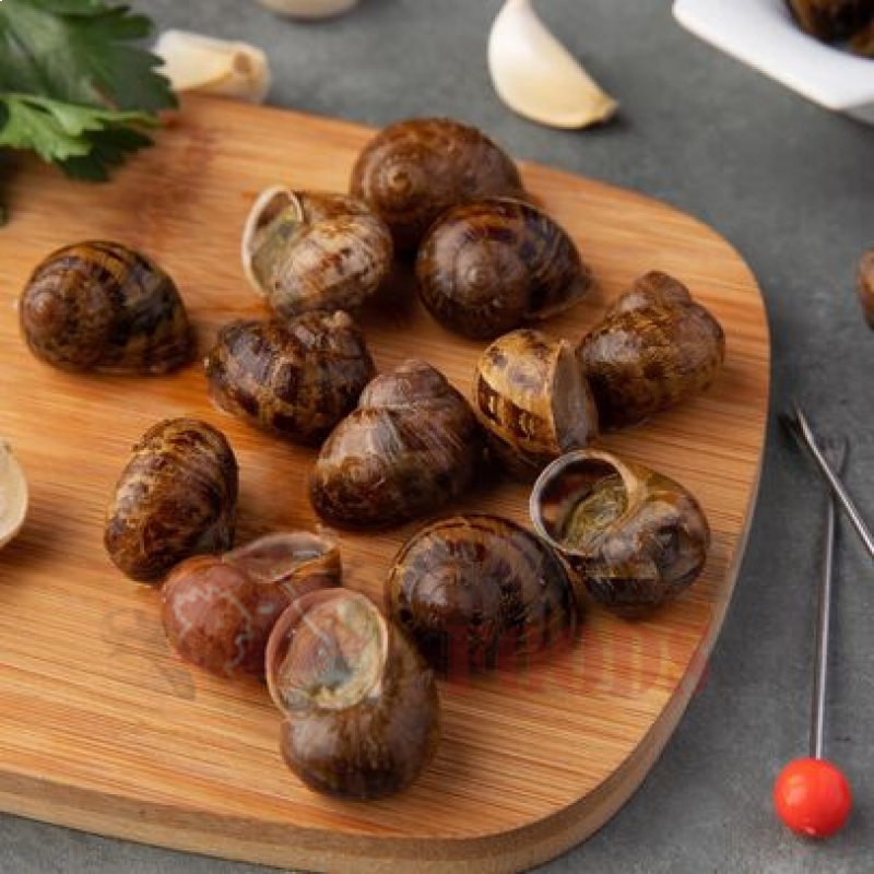 Petit Gris Escargot