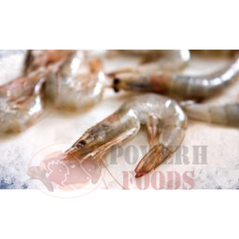 VANNEMIE SHRIMP (FARMED)