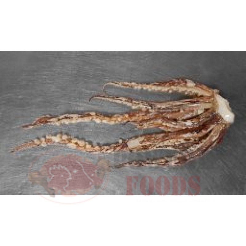 POTA SQUID TENTACLES