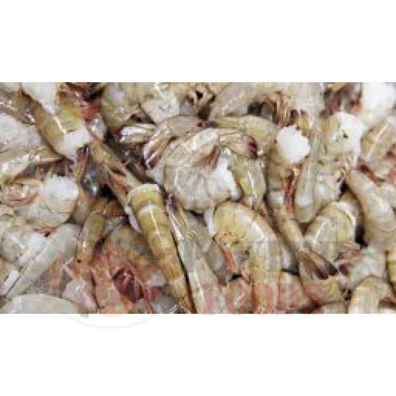 SHRIMP (WILD CAUGHT)